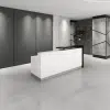 Holo Reception Desk