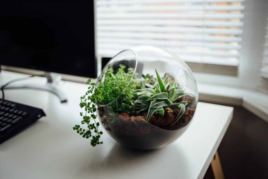 Photo Ergonomic setup